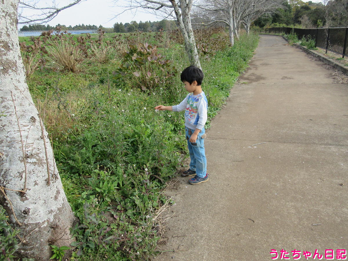 f:id:utachan0831:20220207234346j:plain