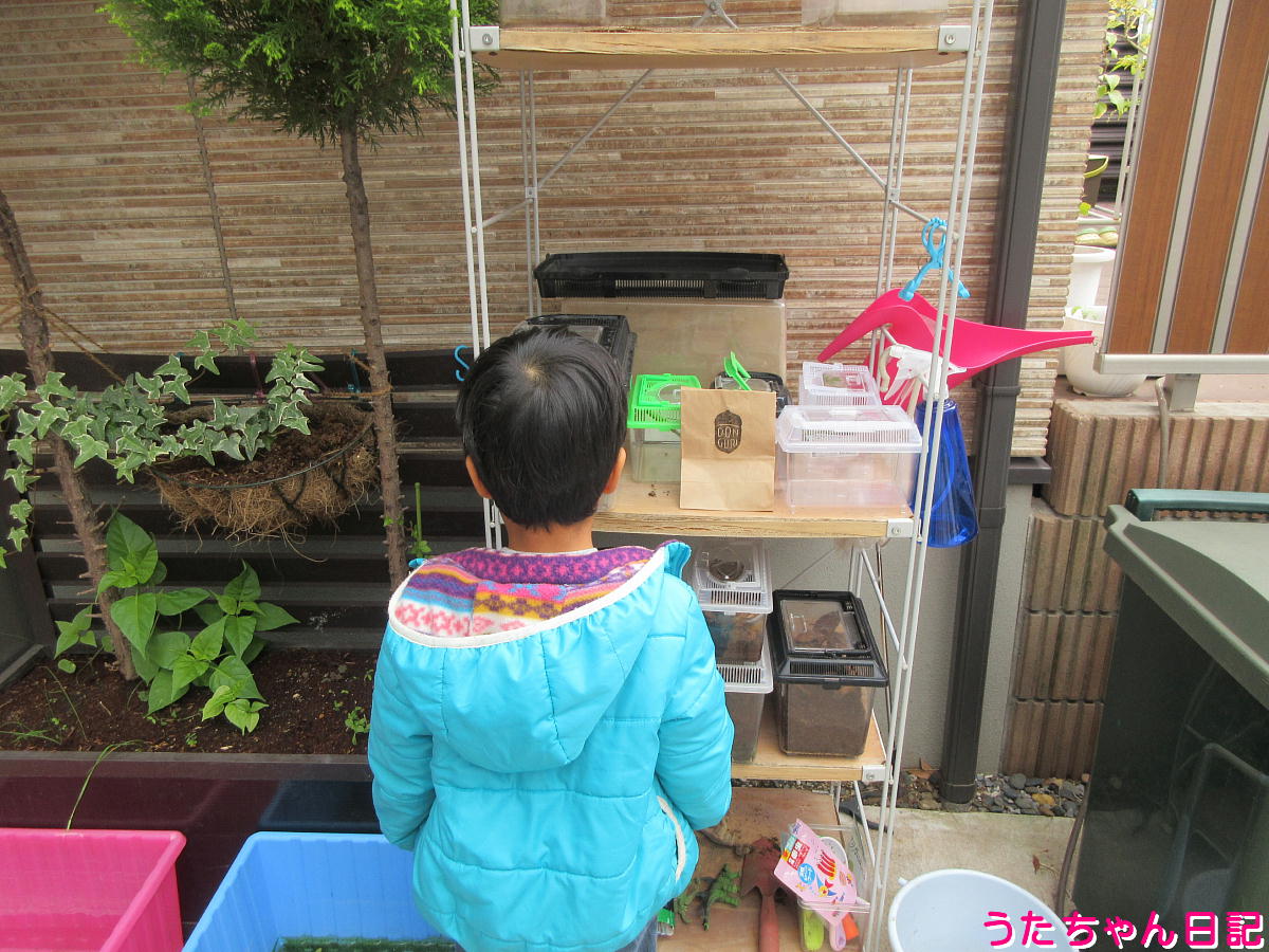 f:id:utachan0831:20220210120927j:plain