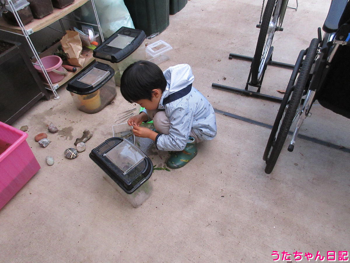 f:id:utachan0831:20220210120944j:plain