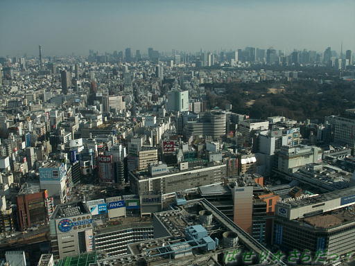 f:id:utachan0831:20220214114327j:plain