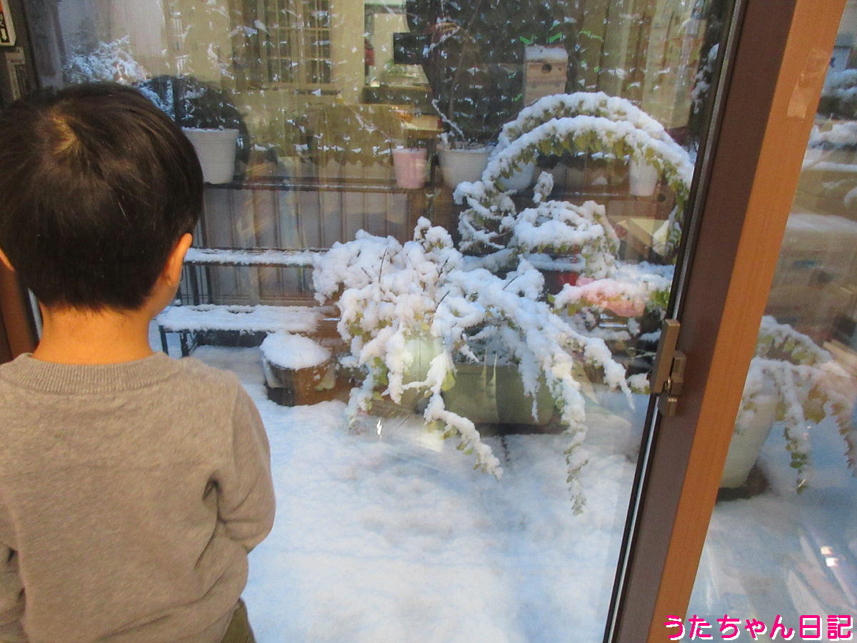 f:id:utachan0831:20220220220340j:plain