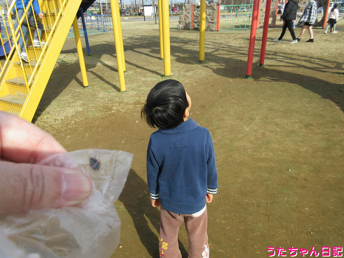 f:id:utachan0831:20220228212719j:plain