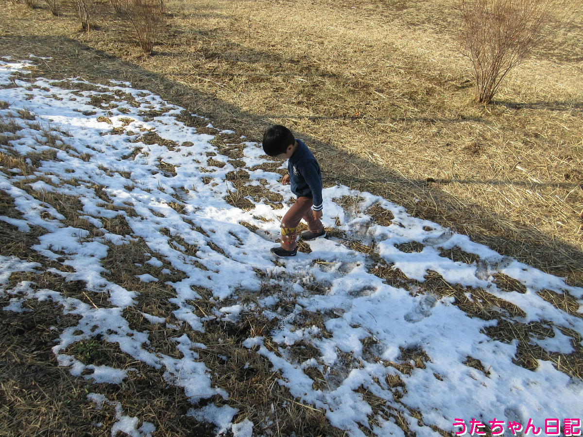 f:id:utachan0831:20220228212751j:plain