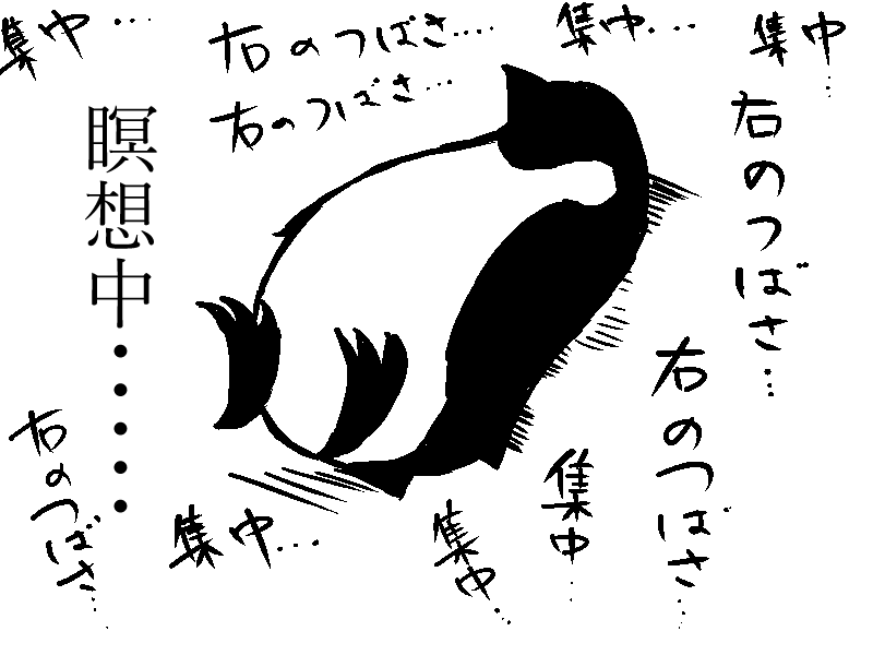 f:id:utaitai4:20190831204012p:plain f:id:utaitai4:20190831204012p:plain