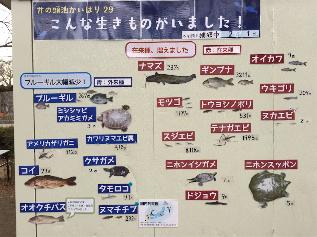 f:id:utakatax:20180214221712j:image f:id:utakatax:20180214221712j:image