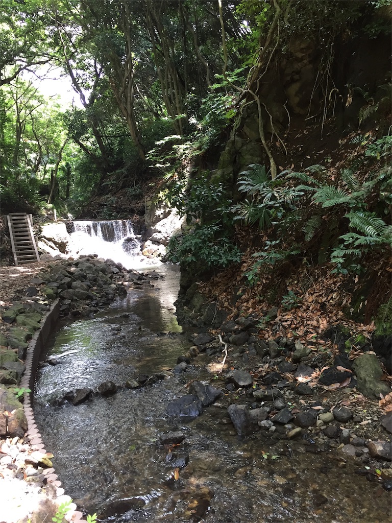 f:id:utakatax:20180618223835j:image f:id:utakatax:20180618223835j:image
