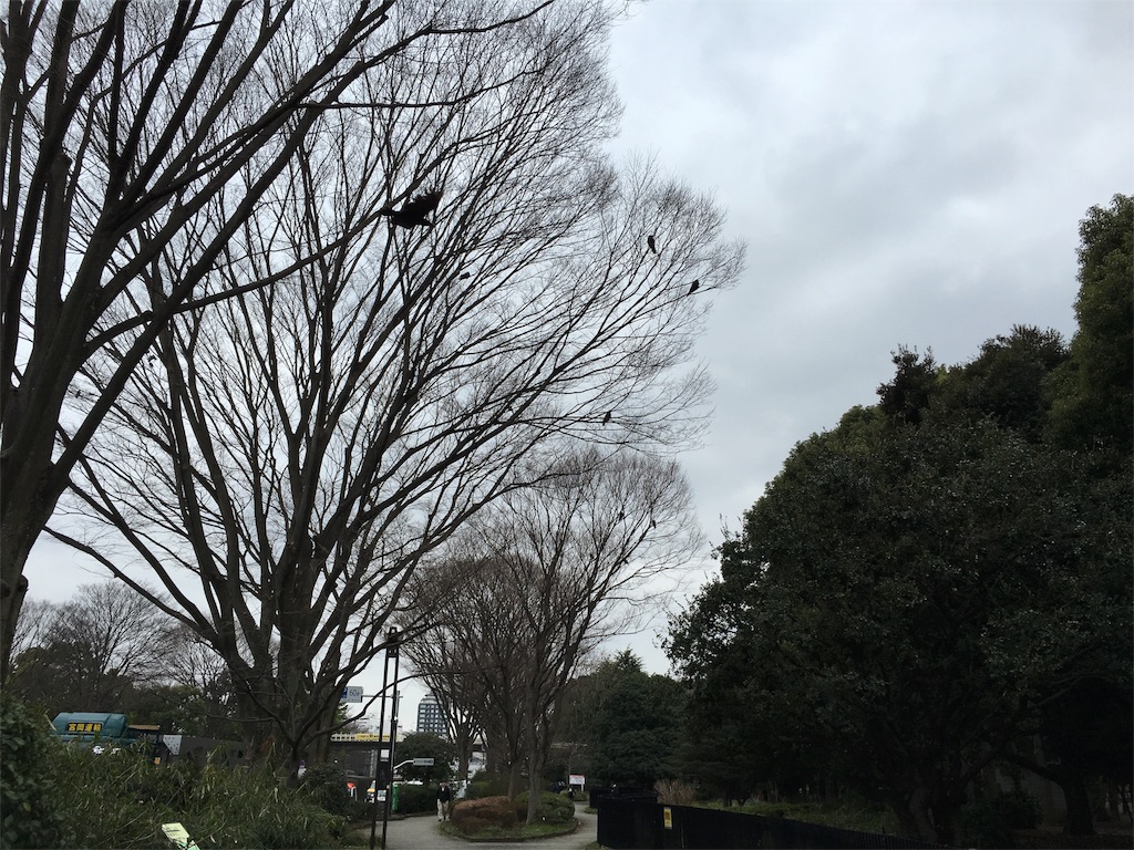 f:id:utakoya-ry88:20160313233519j:image f:id:utakoya-ry88:20160313233519j:image
