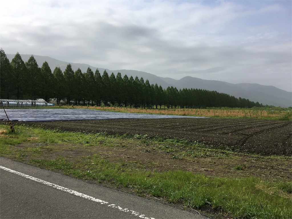 f:id:utakoya-ry88:20160602190853j:image f:id:utakoya-ry88:20160602190853j:image