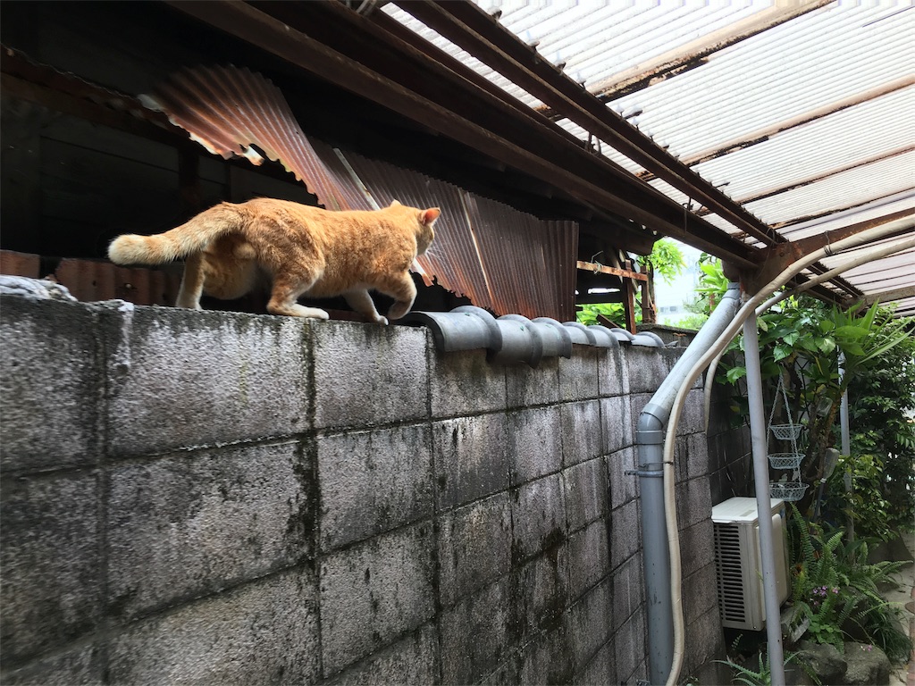 f:id:utakoya-ry88:20160604171405j:image f:id:utakoya-ry88:20160604171405j:image