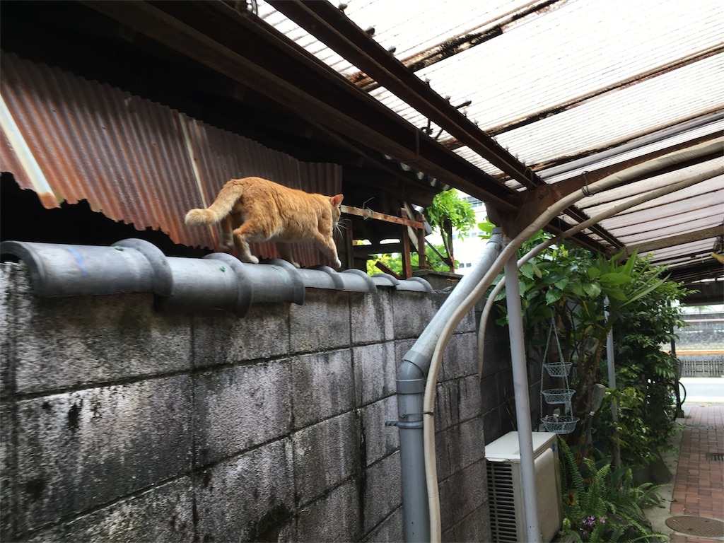 f:id:utakoya-ry88:20160604171440j:image f:id:utakoya-ry88:20160604171440j:image