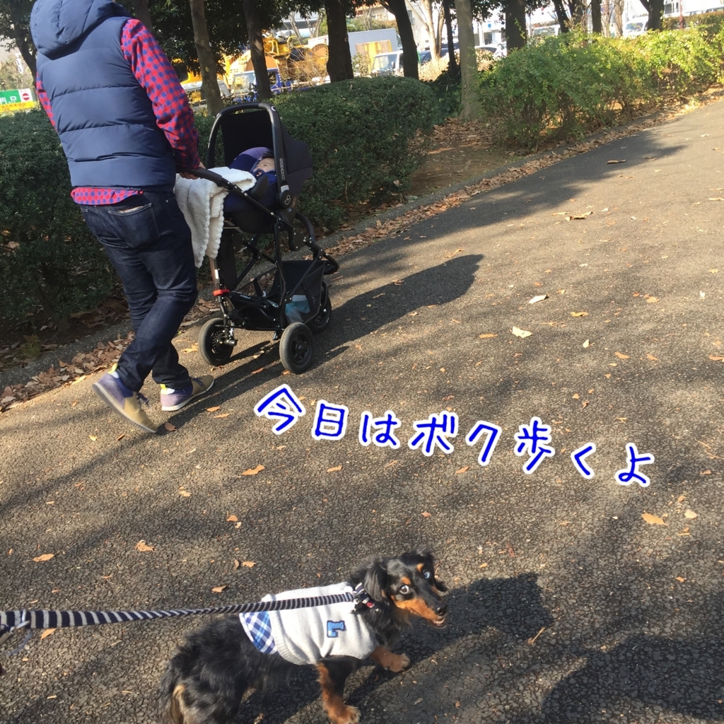 愛犬のお散歩に適したベビーカー選び（本編） 犬と赤ちゃんのいる生活