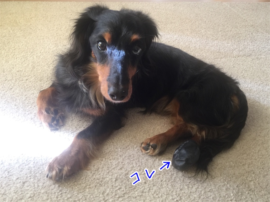 f:id:utamisan:20190107142829j:image
