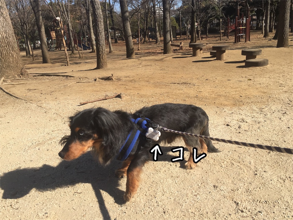 f:id:utamisan:20190123152615j:image