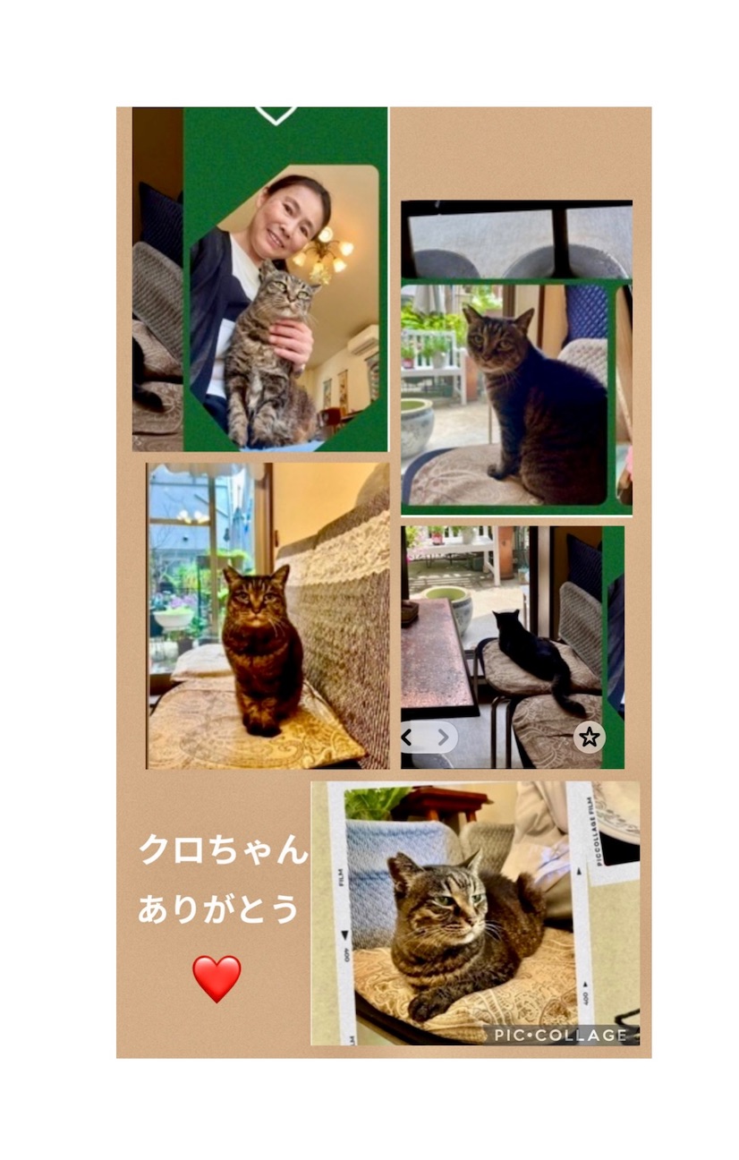 ありがとう - 山川亜紀とニャンコのSound Garden
