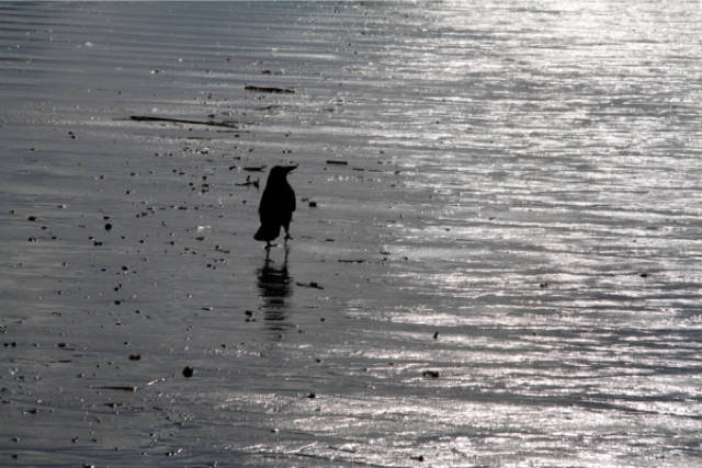 f:id:utano0917:20120430015556j:image:w360 f:id:utano0917:20120430015556j:image:w360