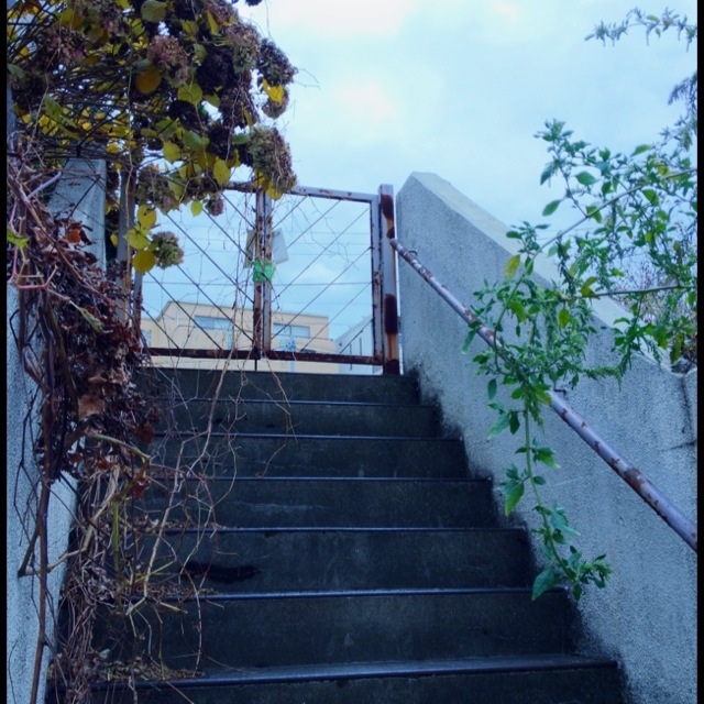 f:id:utano0917:20121225115511j:image:w360 f:id:utano0917:20121225115511j:image:w360