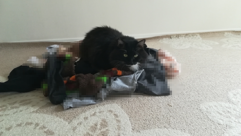 f:id:utanutan1096:20181115123026j:plain f:id:utanutan1096:20181115123026j:plain