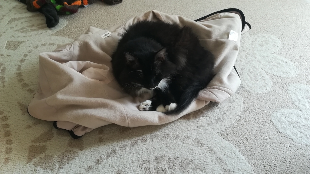 f:id:utanutan1096:20181115123237j:plain f:id:utanutan1096:20181115123237j:plain