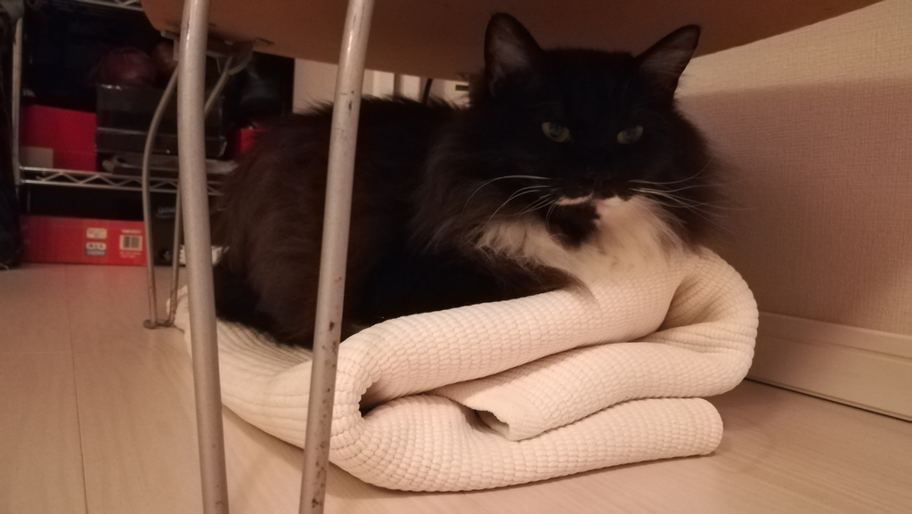 f:id:utanutan1096:20181115123348j:plain f:id:utanutan1096:20181115123348j:plain