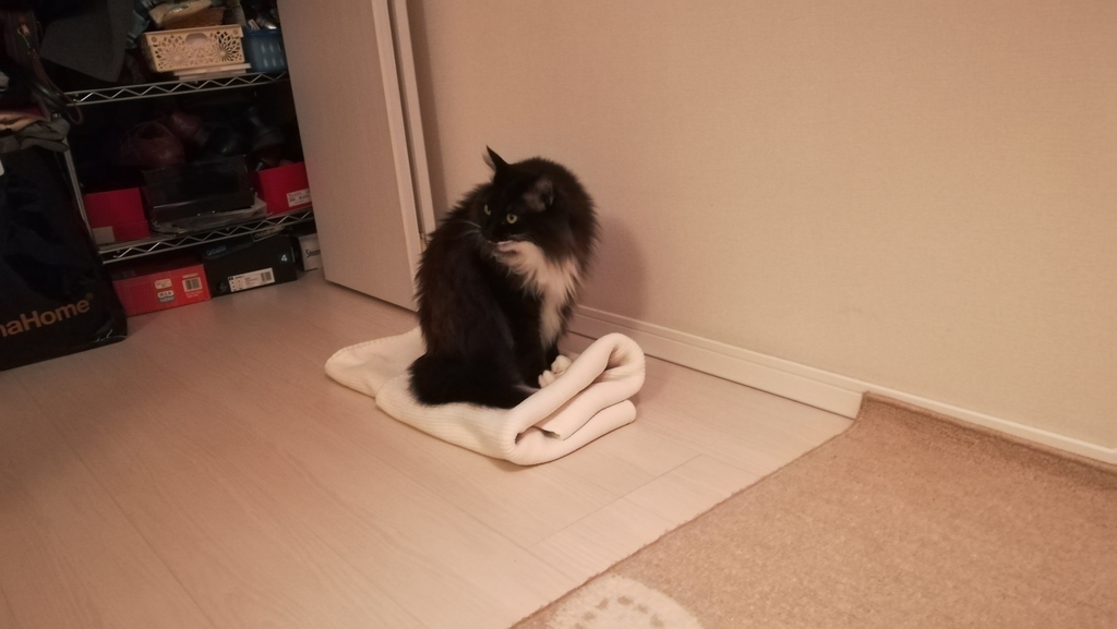 f:id:utanutan1096:20181115123414j:plain f:id:utanutan1096:20181115123414j:plain