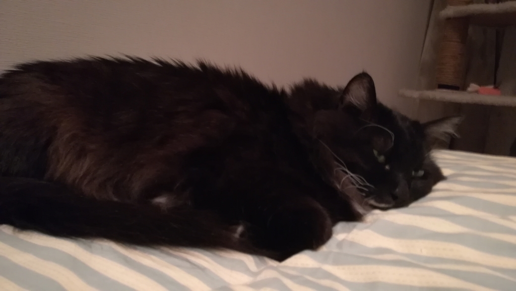 f:id:utanutan1096:20181203164832j:plain