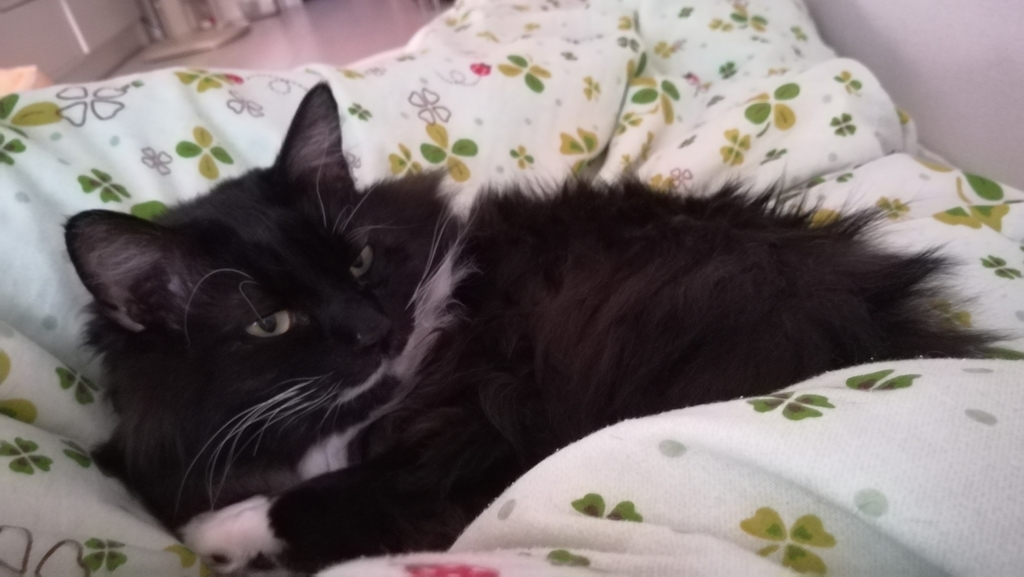 f:id:utanutan1096:20181210114616j:plain