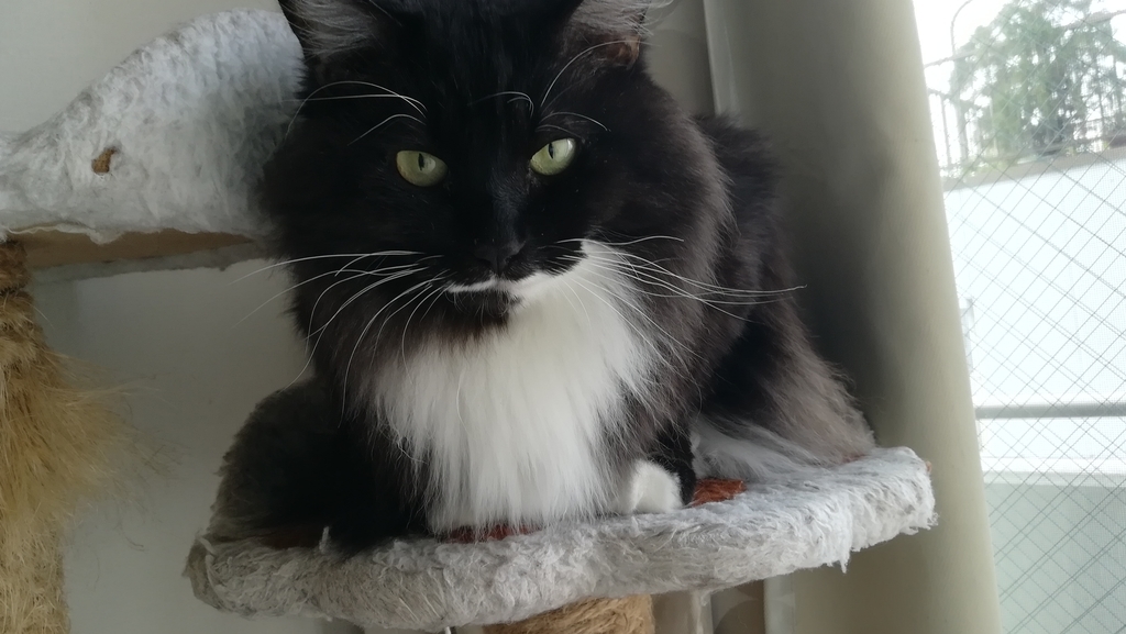 f:id:utanutan1096:20181216191024j:plain f:id:utanutan1096:20181216191024j:plain