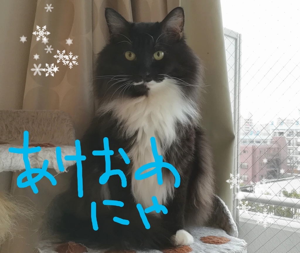 f:id:utanutan1096:20190101105531j:plain f:id:utanutan1096:20190101105531j:plain