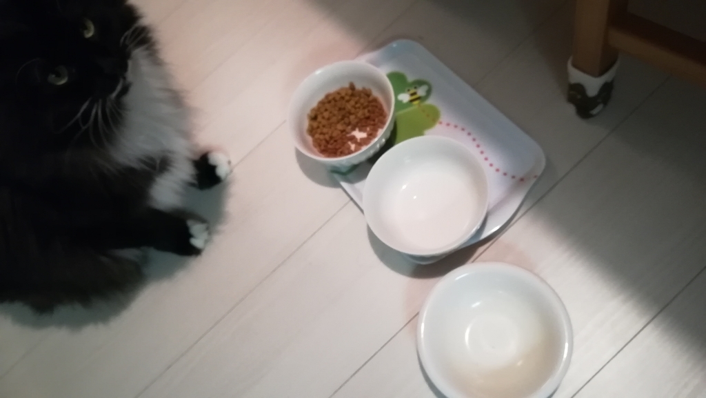 f:id:utanutan1096:20190114173007j:plain