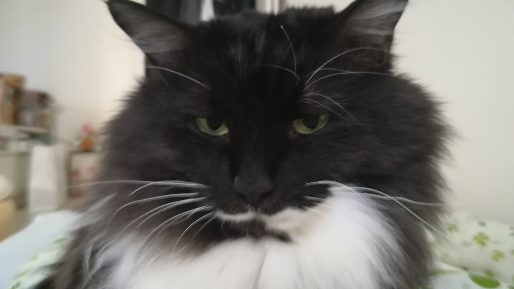 f:id:utanutan1096:20190124140827j:plain