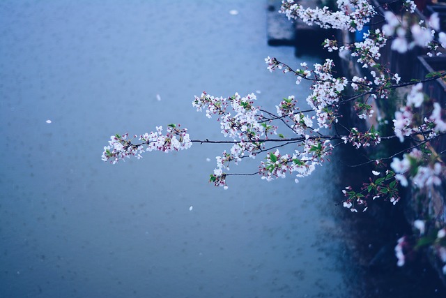 f:id:utanutan1096:20190414184708j:plain