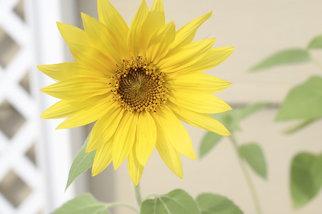 f:id:utanutan1096:20190422205533j:plain