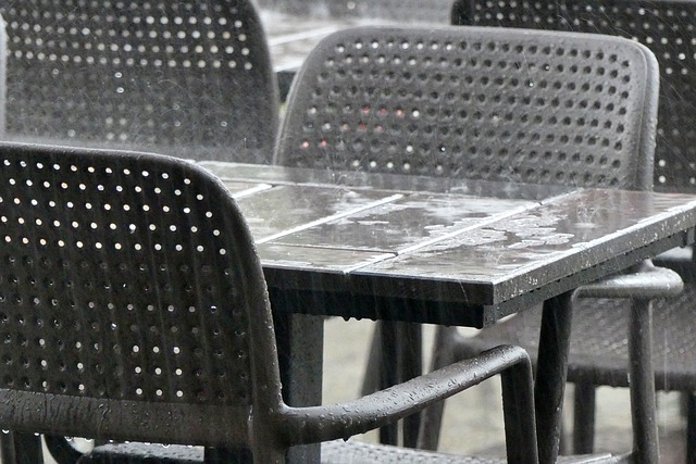 f:id:utanutan1096:20190615215344j:plain f:id:utanutan1096:20190615215344j:plain