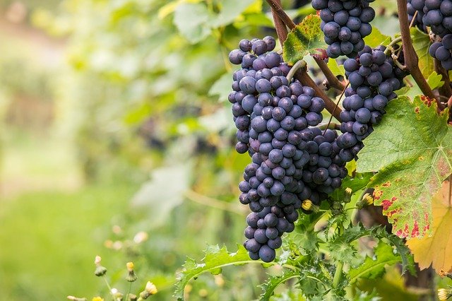 f:id:utanutan1096:20191116164857j:plain