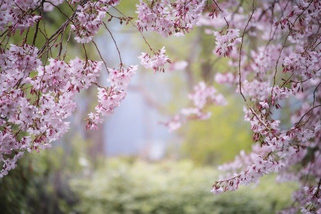 f:id:utanutan1096:20200322182615j:plain