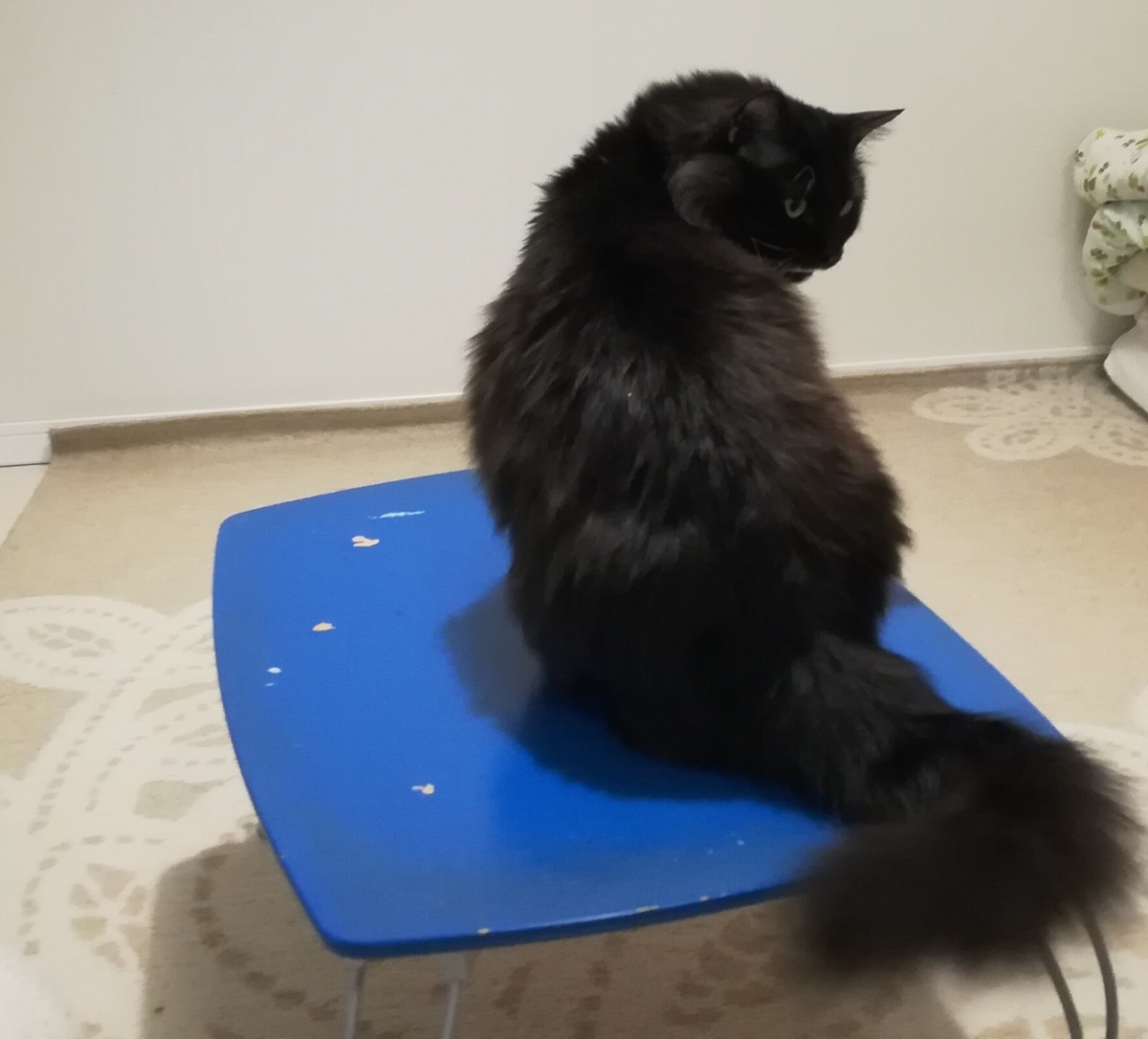 f:id:utanutan1096:20200323143858j:plain