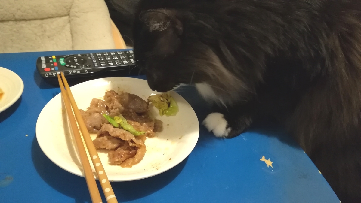 f:id:utanutan1096:20200323144039j:plain