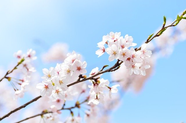 f:id:utanutan1096:20200325215425j:plain