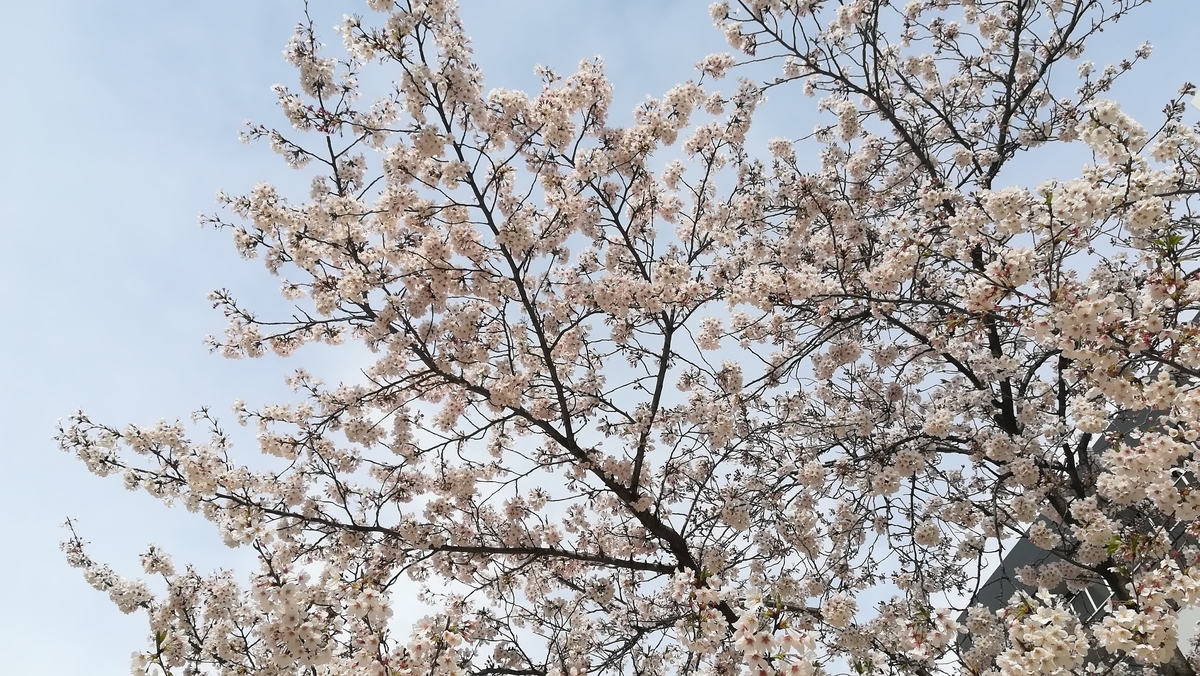 f:id:utanutan1096:20200330142539j:plain f:id:utanutan1096:20200330142539j:plain