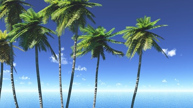 f:id:utanutan1096:20200603180350j:plain f:id:utanutan1096:20200603180350j:plain