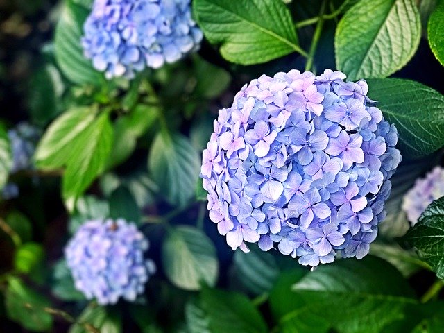 f:id:utanutan1096:20200620185302j:plain