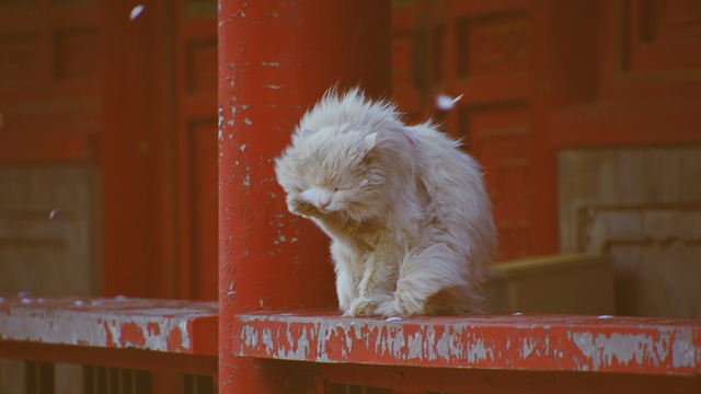 f:id:utanutan1096:20200708180401j:plain