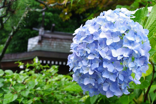 f:id:utanutan1096:20200715172024j:plain f:id:utanutan1096:20200715172024j:plain