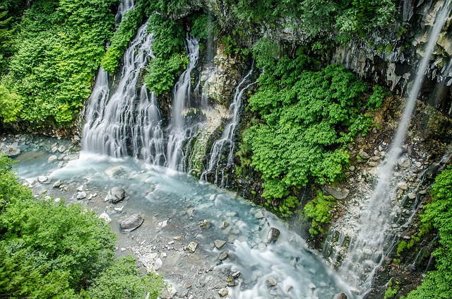 f:id:utanutan1096:20200730190219j:plain