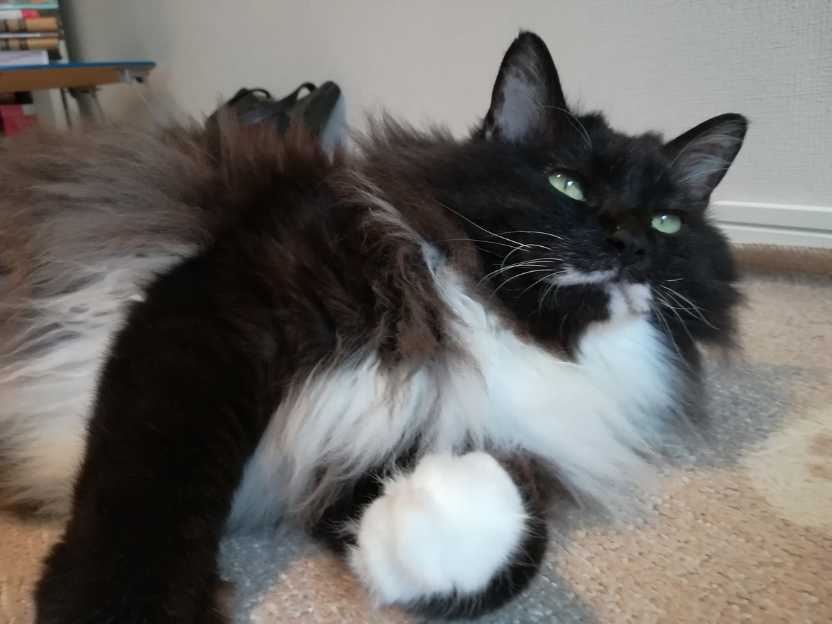 f:id:utanutan1096:20210720151533j:plain
