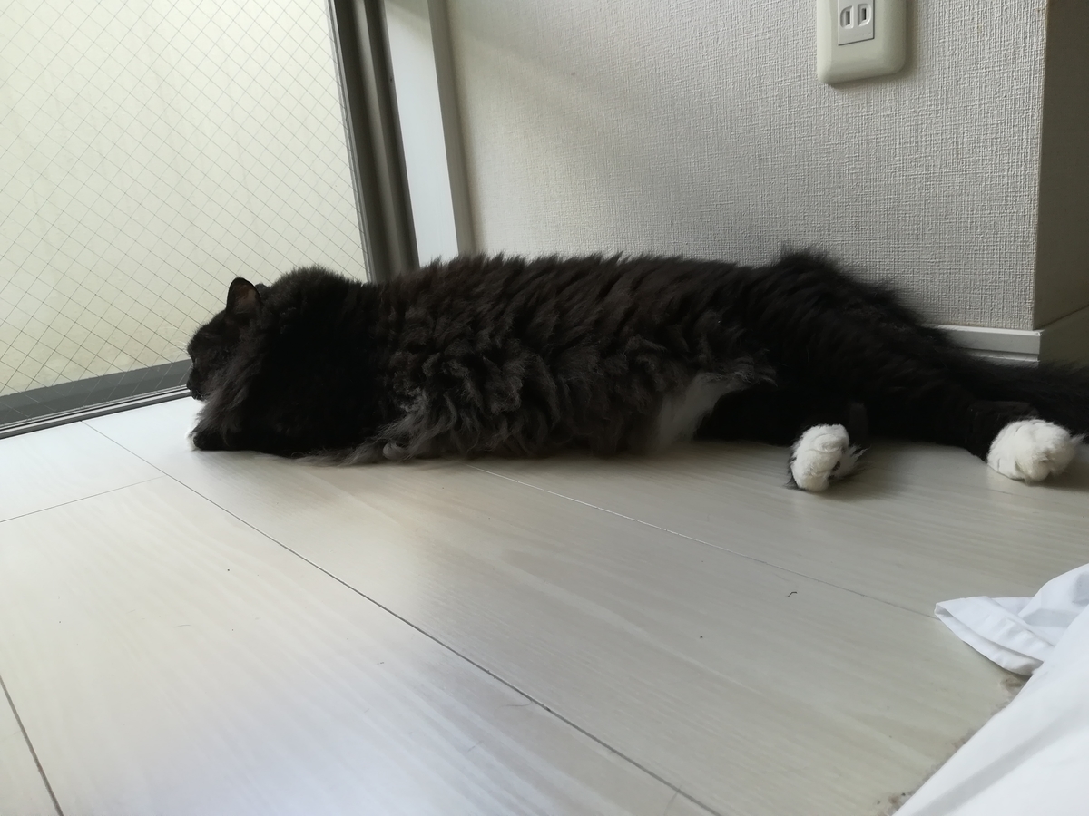 f:id:utanutan1096:20210818140821j:plain