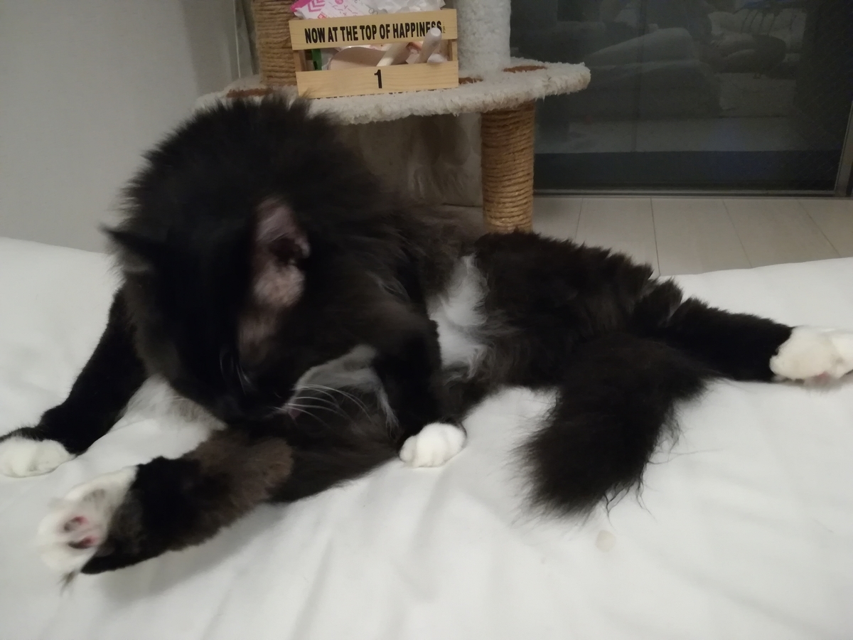 f:id:utanutan1096:20210908131609j:plain