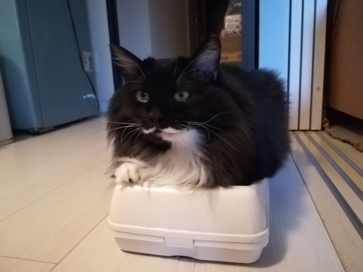 f:id:utanutan1096:20211004182002j:plain