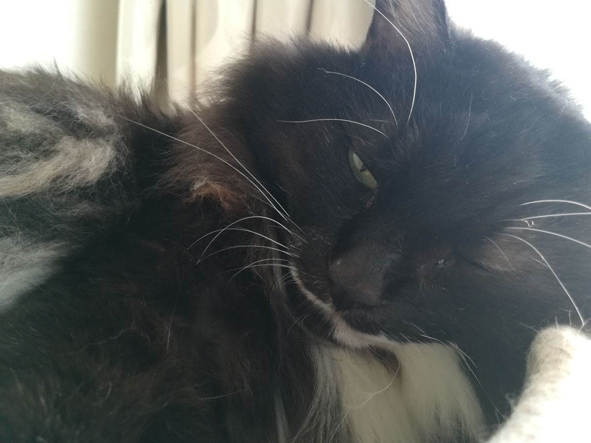 f:id:utanutan1096:20211006124320j:plain