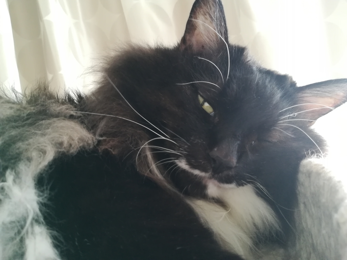 f:id:utanutan1096:20211007130018j:plain